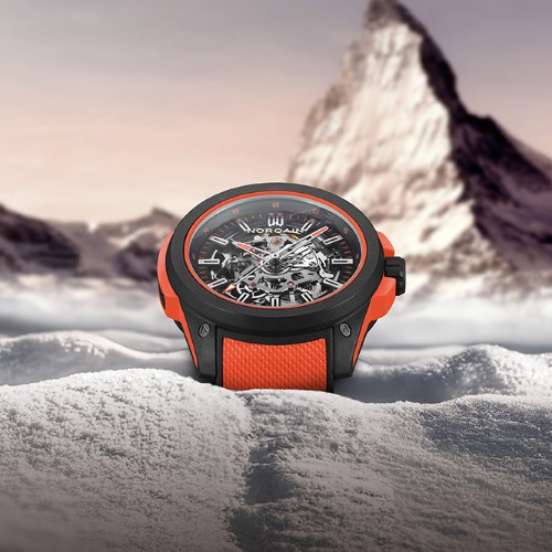 Rivenditore autorizzato norqain a Milano